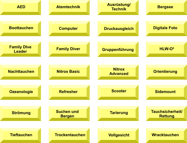 AED Atemtechnik Ausrüstung/ Technik  Bergsee Boottauchen Computer Digitale Foto Family DIve Leader Family Diver  Gruppenführung  HLW-O² Nachttauchen Nitrox Basic Nitrox Advanced  Orientierung Ozeanologie Refresher Scooter Sidemount Strömung Suchen und Bergen Tarierung Tauchsicherheit/Rettung Tieftauchen Trockentauchen Vollgesicht  Wracktauchen  Druckausgleich